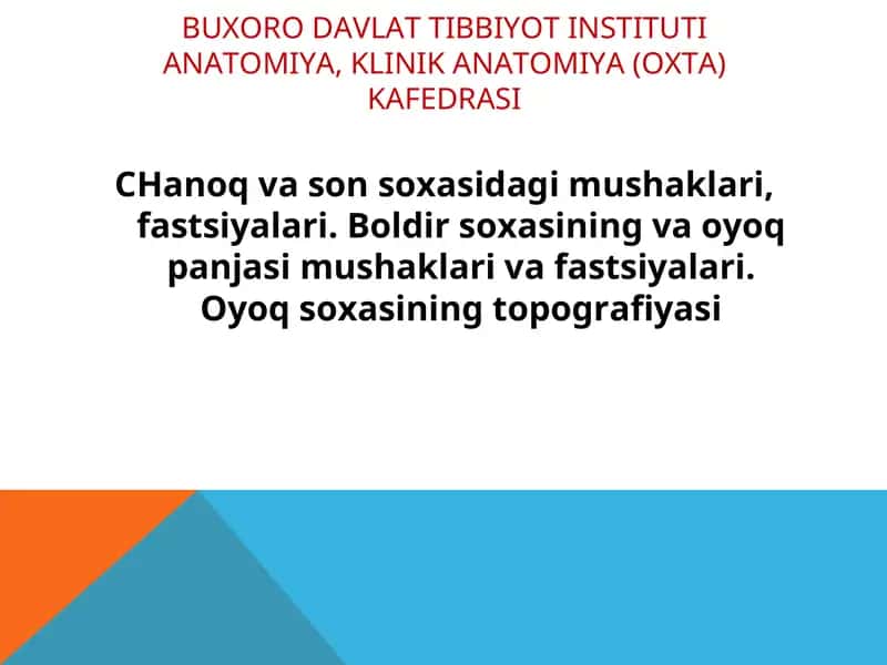 ANATOMIYA, KLINIK ANATOMIYA (OXTA) KAFEDRASI 1