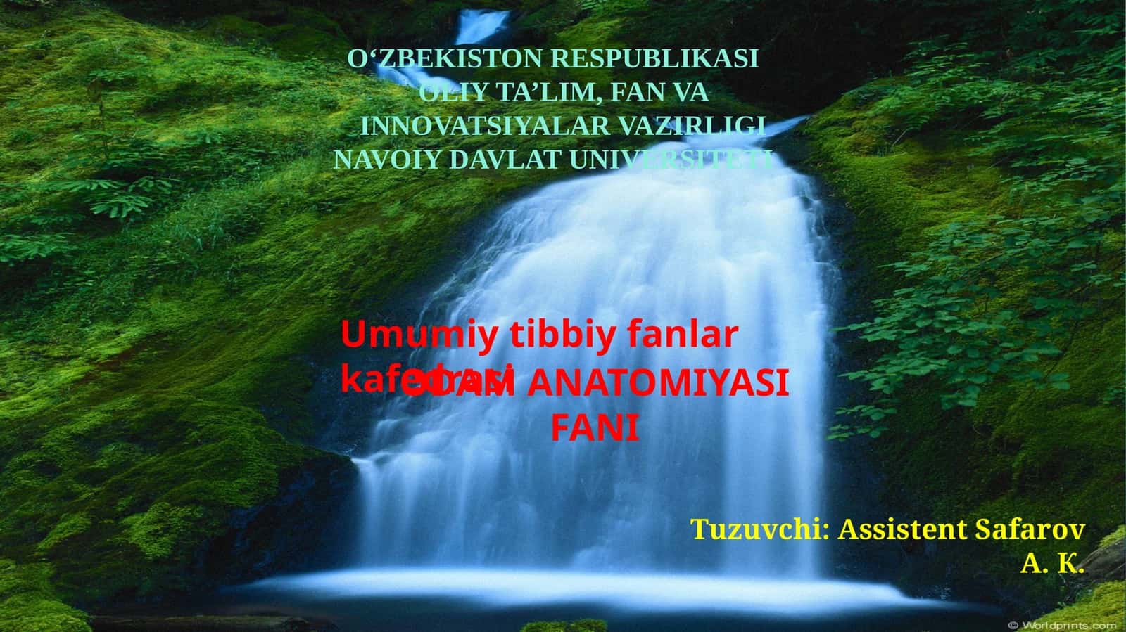 ODAM ANATOMIYASI FANI 1