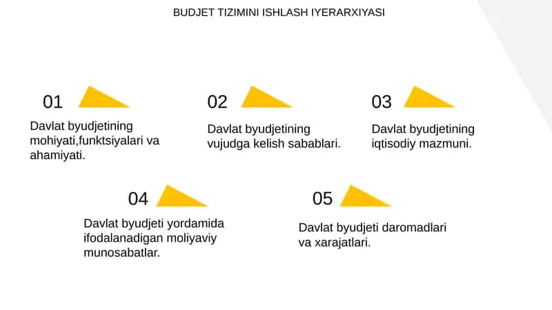 Budjet tizimining ishlash iyerarxiyasi 1