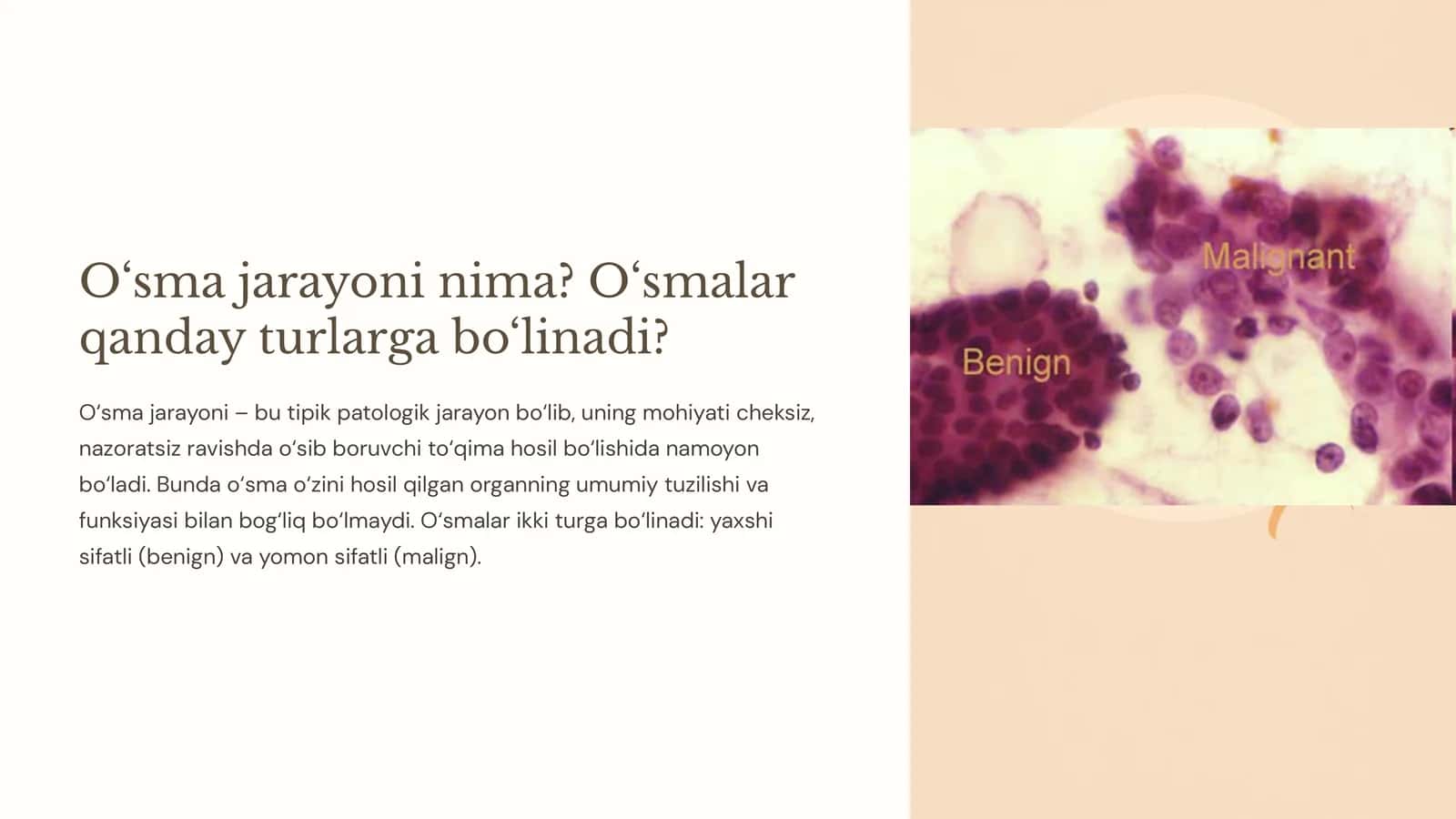 O‘sma jarayoni 1