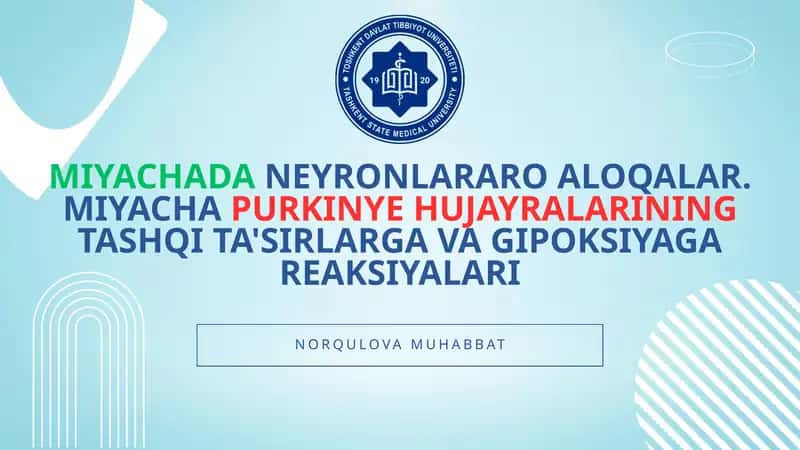 Miyachada neyronlararo aloqalar. Miyacha Purkinye hujayralarining tashqi ta'sirlarga va gipoksiyaga 1