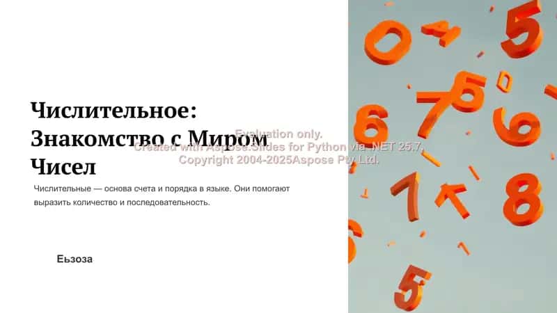 Числительное: Знакомство с Миром Чисел 1