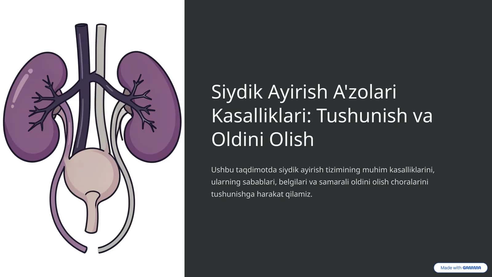 Siydik Ayirish A'zolari Kasalliklari: Tushunish va Oldini Olish 1