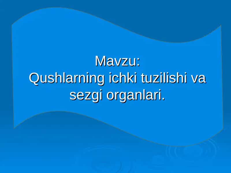 Qushlarning ichki tuzilishi va sezgi organlari 1