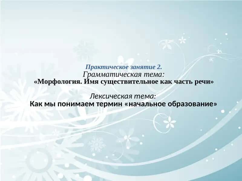 Морфология. Имя существительное как часть речи 1