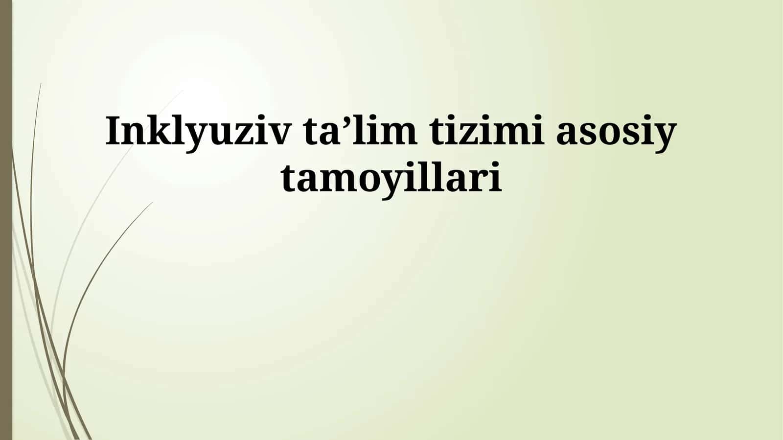 Inklyuziv taʼlim tizimi asosiy tamoyillari 1