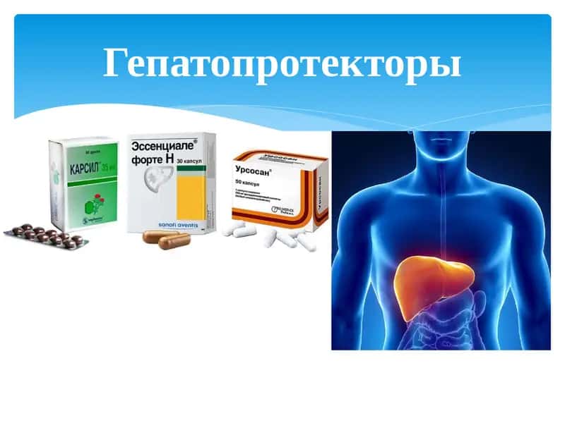 Гепатопротекторы 1