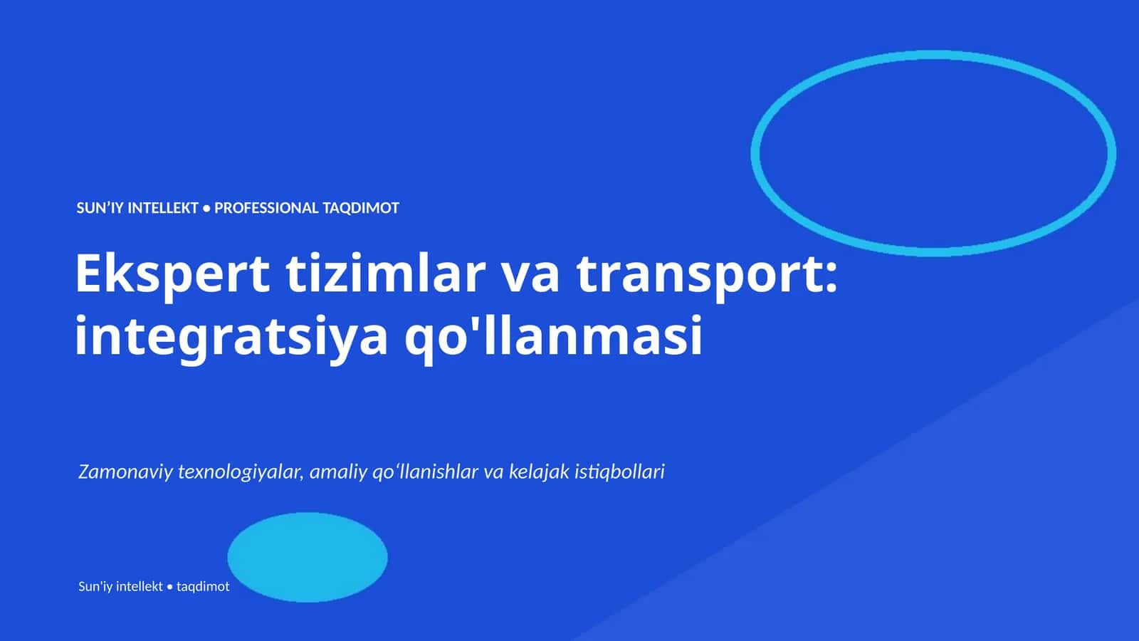 Ekspert tizimlar va transport: integratsiya qo'llanmasi 1