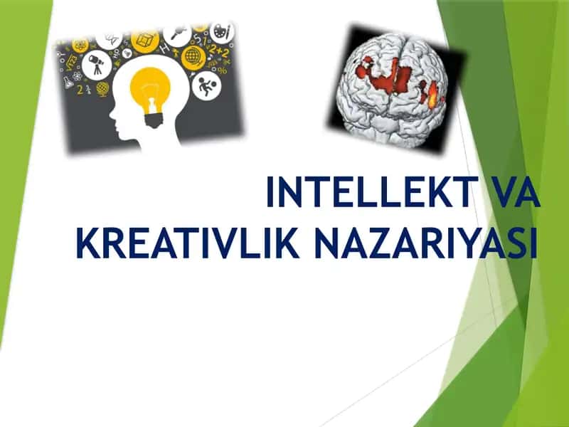 INTELLEKT VA KREATIVLIK NAZARIYASI 1