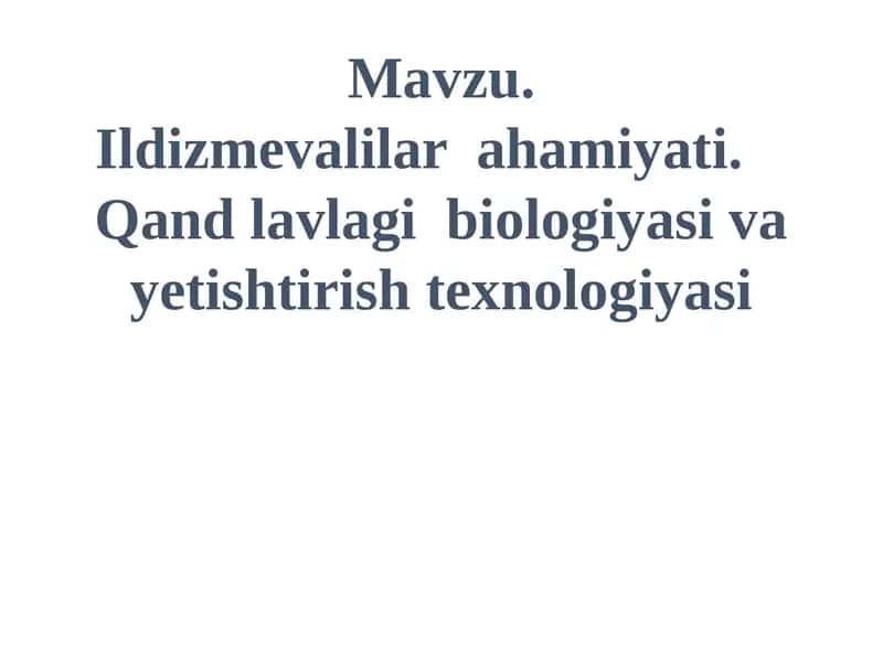 Ildizmevalilar ahamiyati 1