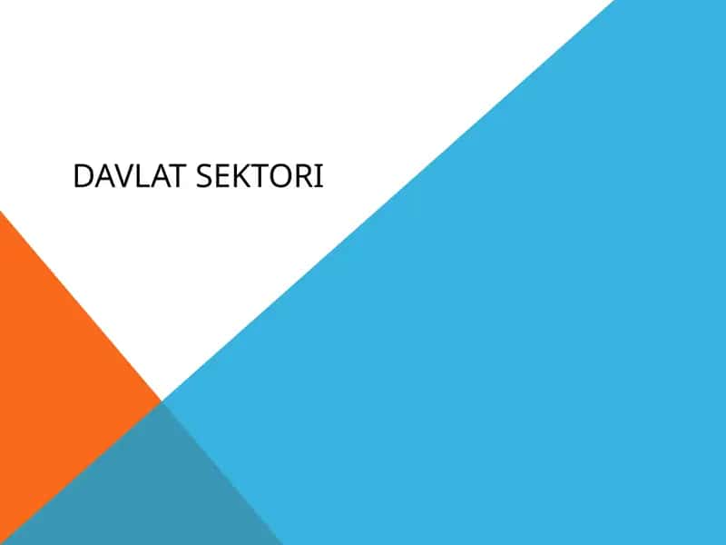 Davlatsektori 1