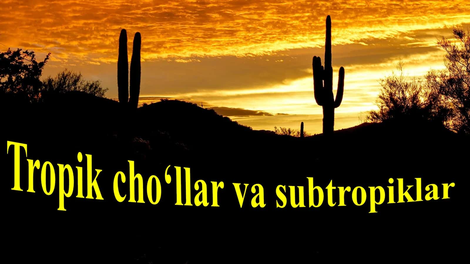 Tropik cho‘llar va subtropiklar 1