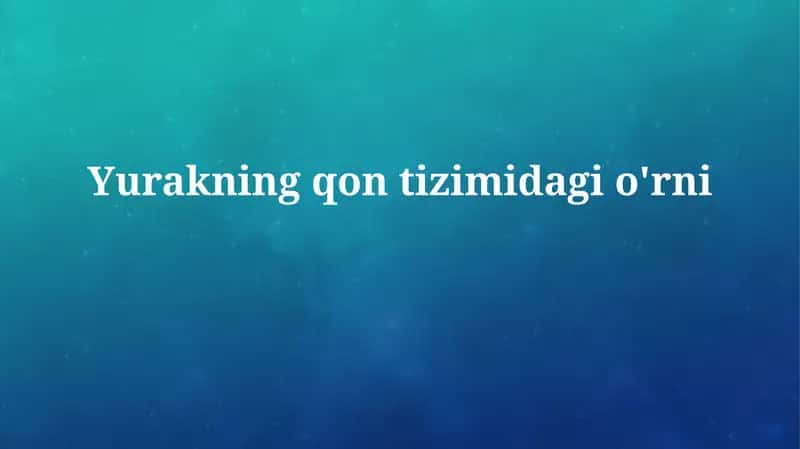 Yurakning qontizimidagio'rni 1