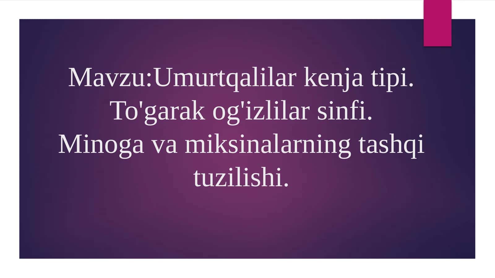 Umurtqalilar kenja tipi 1