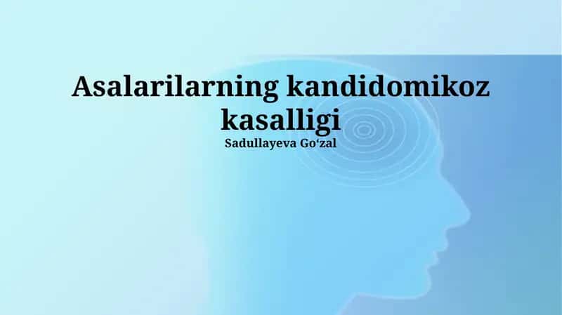 Asalarilarning kandidomikoz kasalligi 1