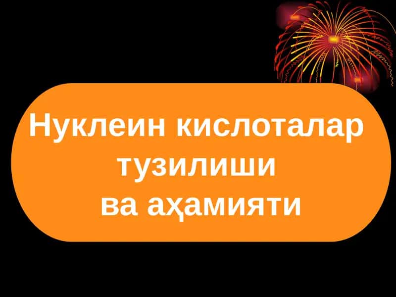 Нуклеин кислоталар тузилиши ва аҳамияти 1