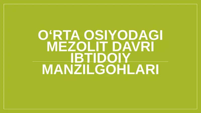 O‘rta Osiyodagi mezolit davri ibtidoiy manzilgohlari 1