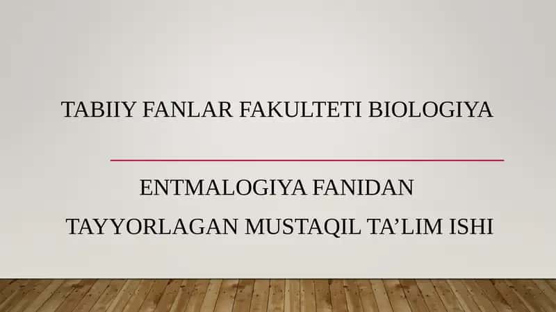 Tuproqda Yashovchi Hasharotlar 1
