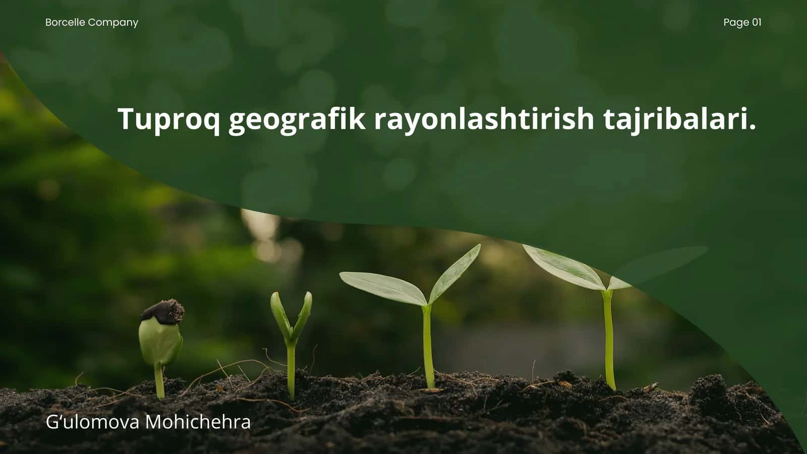 Tuproq geografik rayonlashtirish tajribalari 1