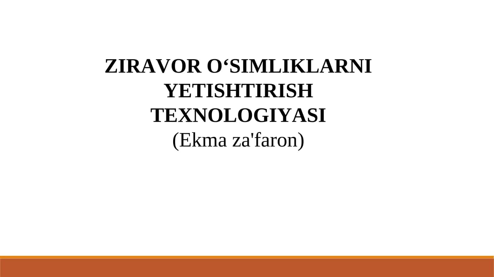 ZIRAVOR O‘SIMLIKLARNI YETISHTIRISH TEXNOLOGIYASI (Ekma za'faron) 1