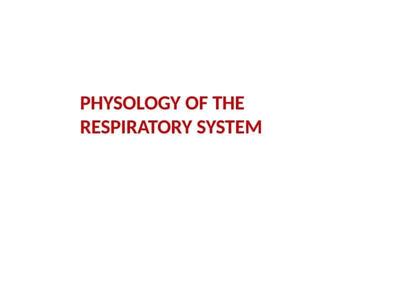 Respiratory sistim 1