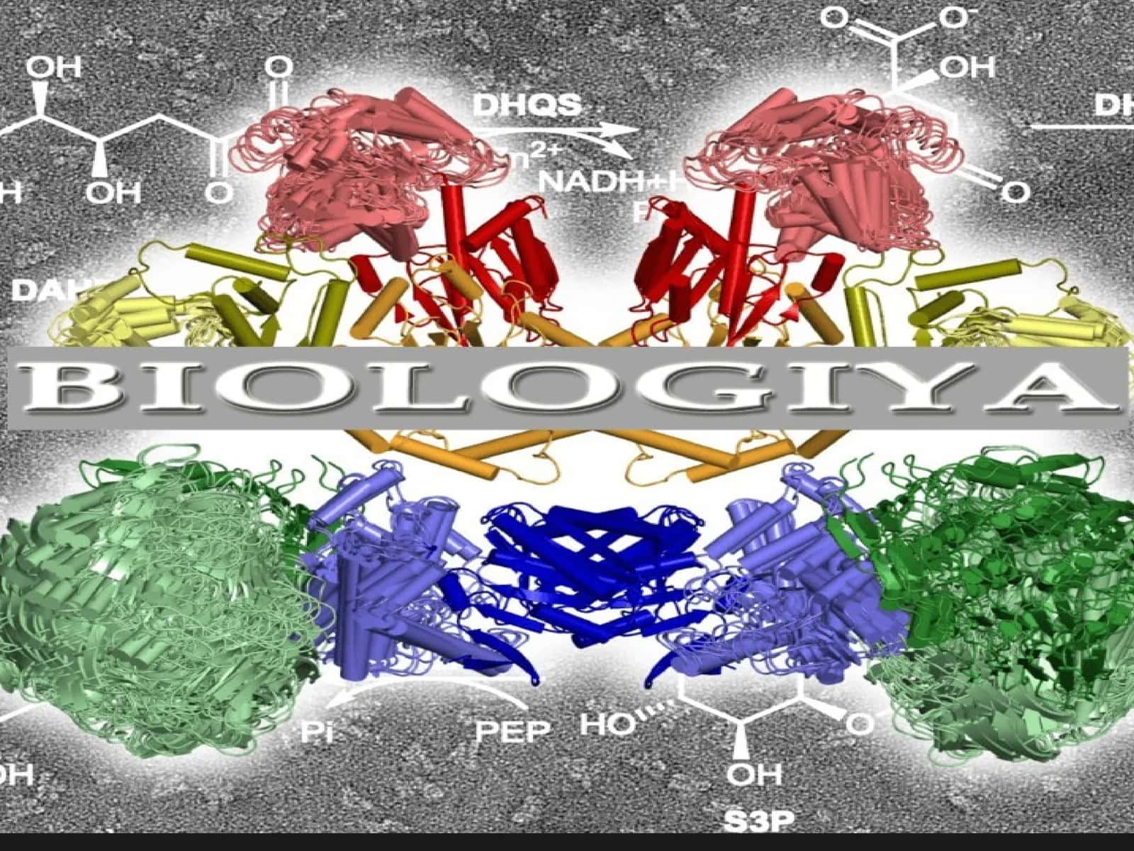 Hujayra biologiyasi. Sitologiyaning rivojlanish bosqichlari. Hujayra taʼlimoti. Shvanning hujayra nazariyasi 1