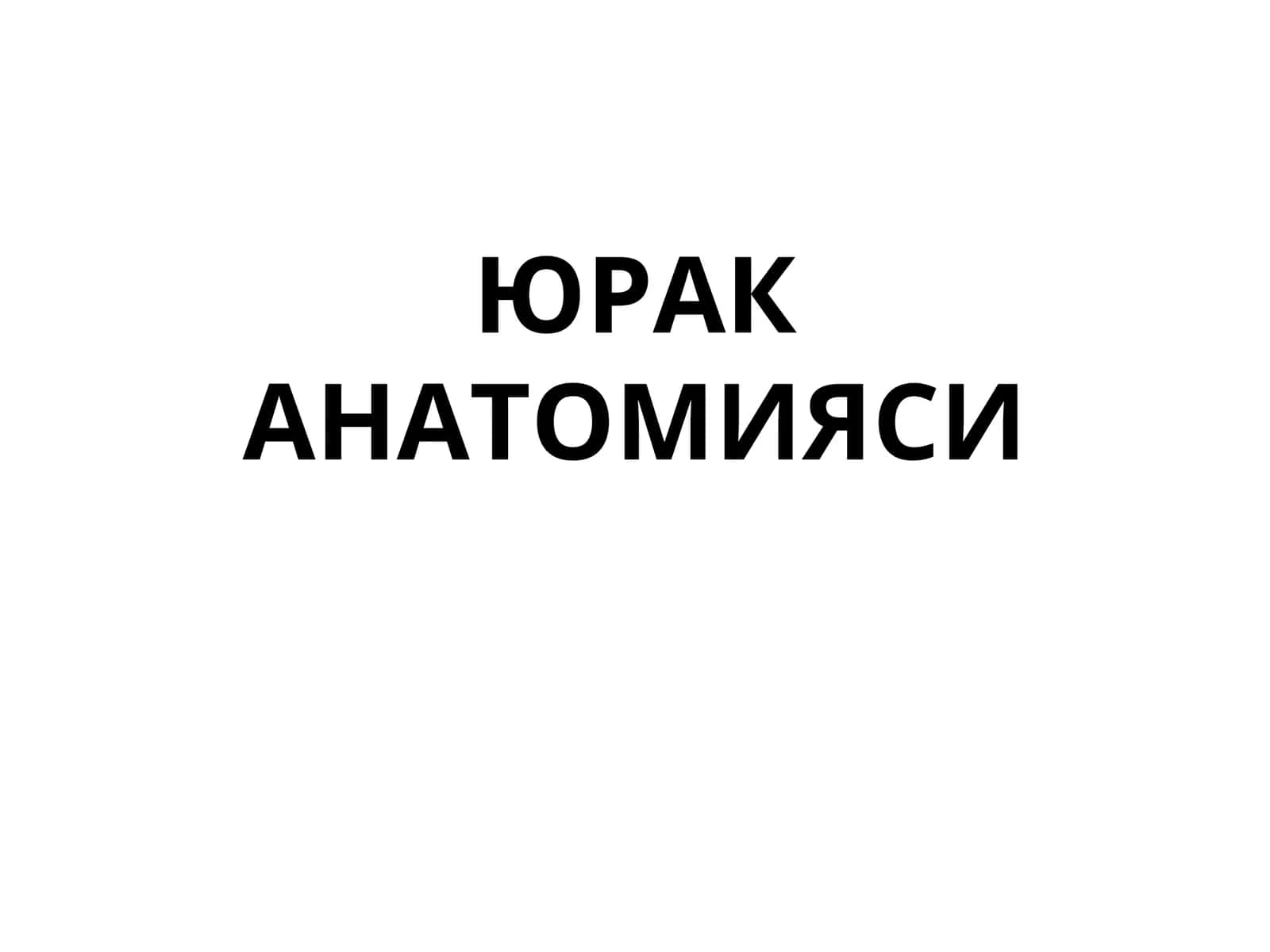 ЮРАК АНАТОМИЯСИ 1