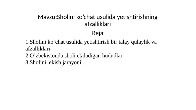 Sholini ko’chat usulida yetishtirishning afzalliklari 1