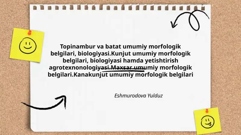 Topinambur va batat 1