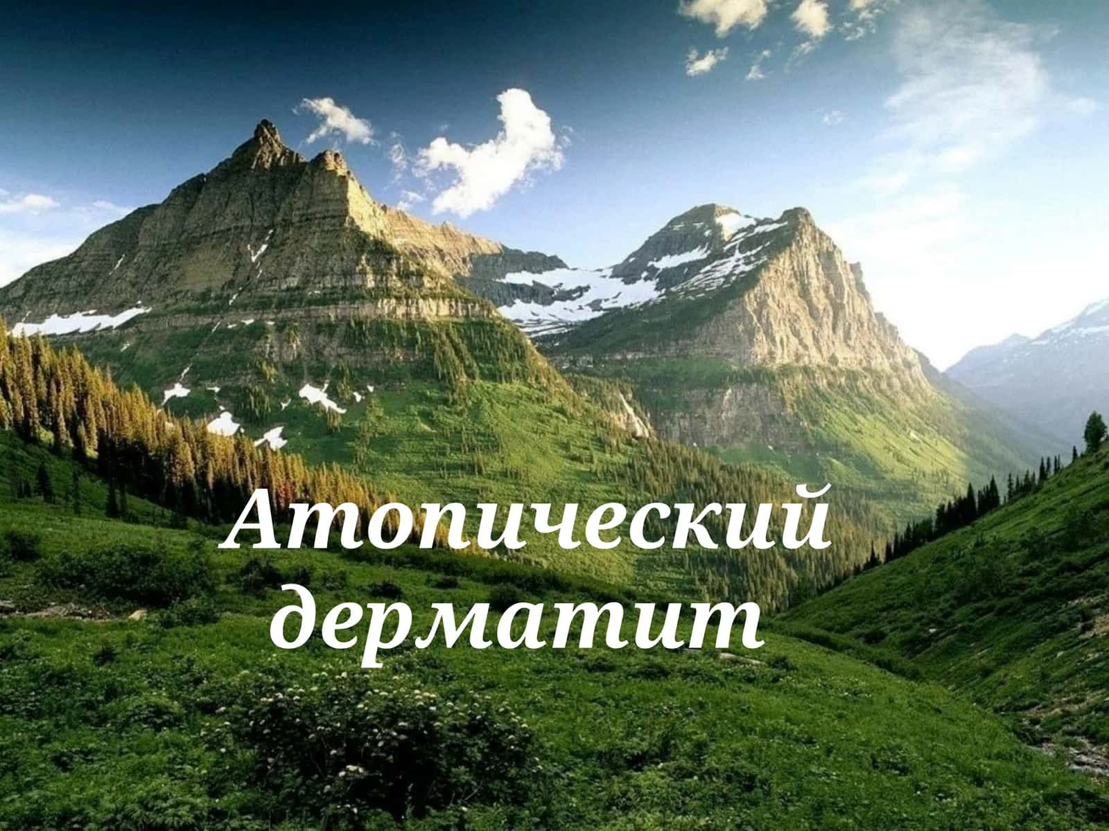 Атопический дерматит 1