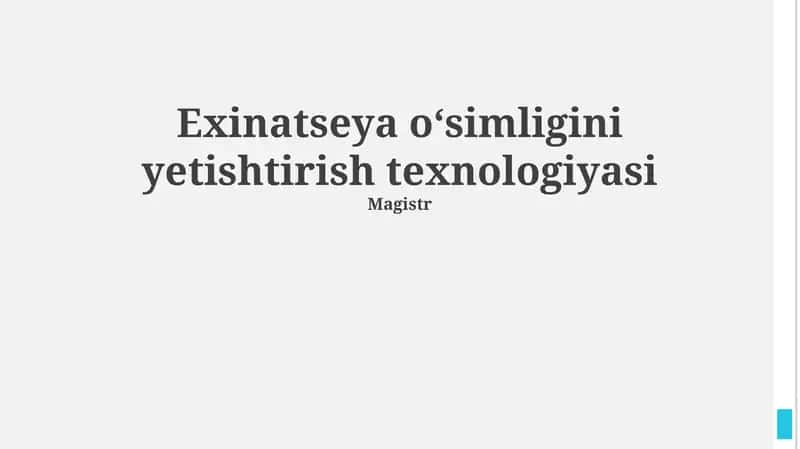 Exinatseya oʻsimligini yetishtirish texnologiyasi 1