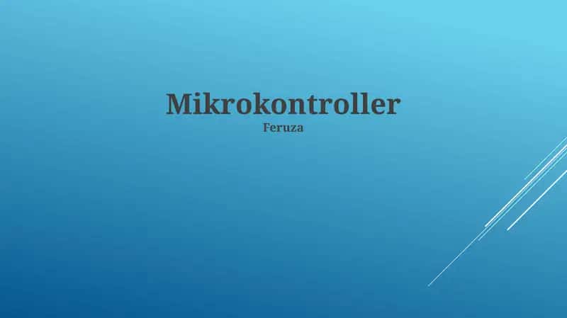 Mikrokontroller 1