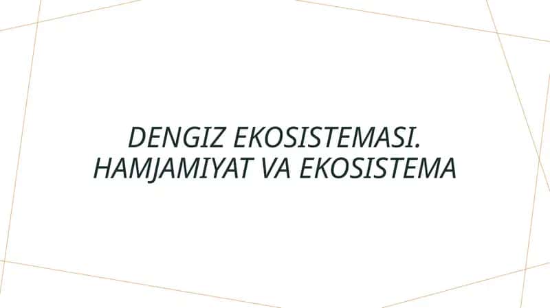 Dengizekosistemasi.Hamjamiyatvaekosistema 1