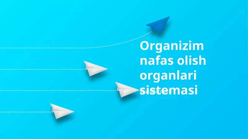 Organizim nafas olish organlari sistemasi 1