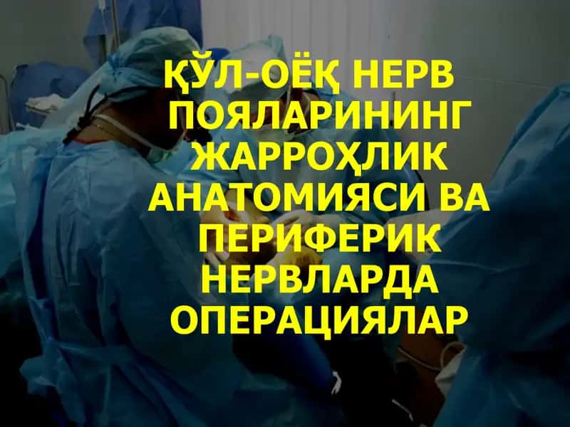 ҚЎЛ-ОЁҚ НЕРВ ПОЯЛАРИНИНГ ЖАРРОҲЛИК АНАТОМИЯСИ ВА ПЕРИФЕРИК НЕРВЛАРДА ОПЕРАЦИЯЛАР 1