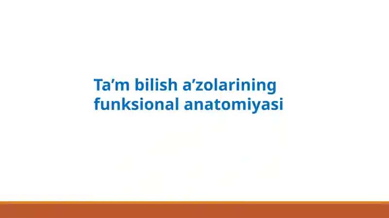Ta’mbilisha’zolarining funksional anatomiyasi