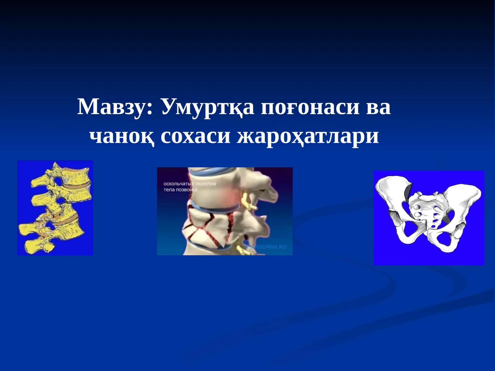Умуртқа поғонаси ва чаноқ сохаси жароҳатлари 1