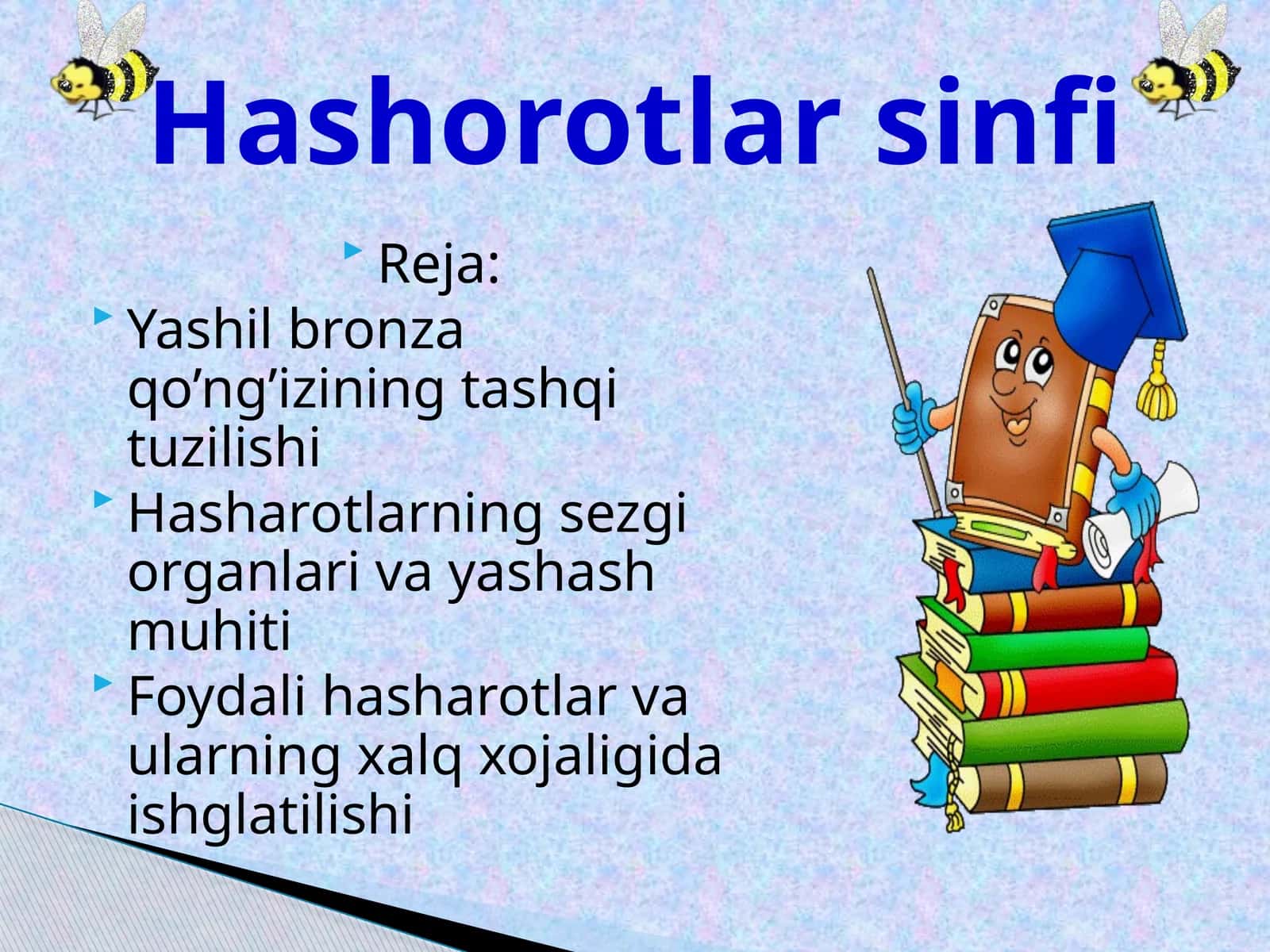 Yashilbronzaqo’ng’iziningtashqituzilishi 1