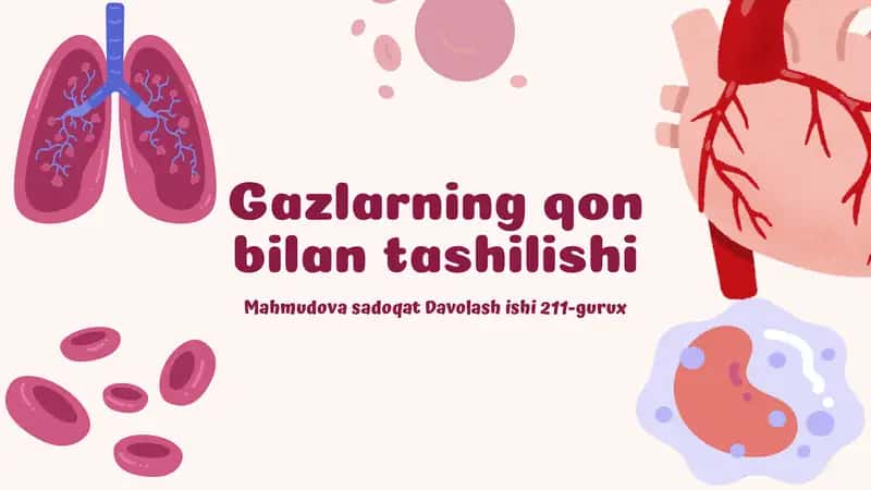 Nafas yo'llari fiziologiyasi va o'pkada gazlar almashinuvi 1
