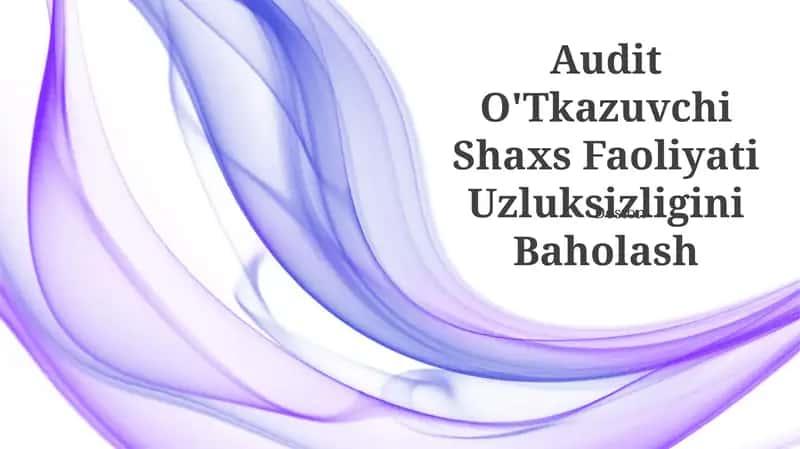 Audit O'Tkazuvchi Shaxs Faoliyati Uzluksizligini Baholash 1