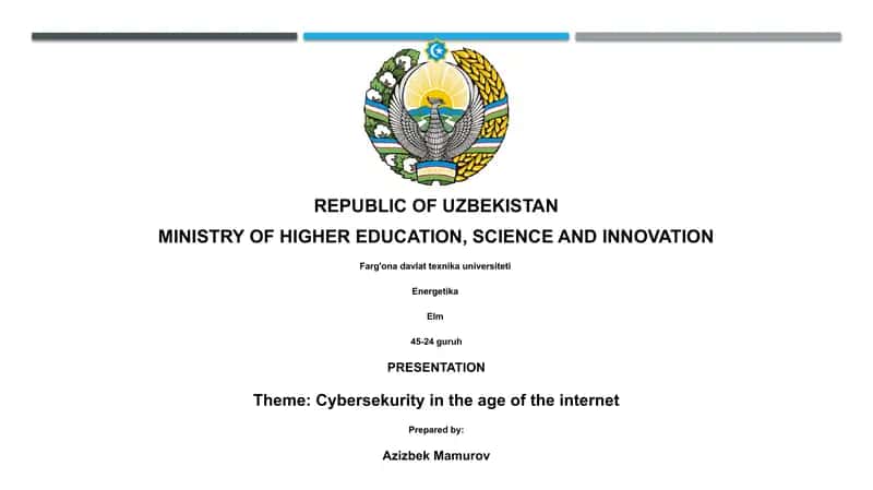 Cybersecurity in the age of the internet 1