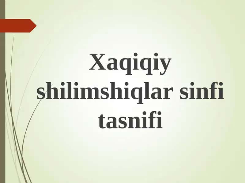 Xaqiqiyshilimshiqlar sinfitasnifi 1