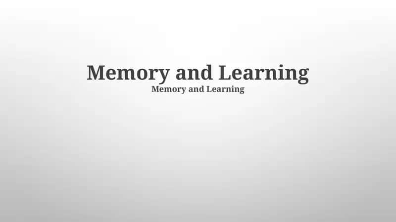 Memory Improvement Techniques 1