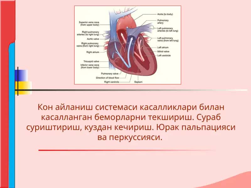 Кон айланиш системаси касалликлари 1