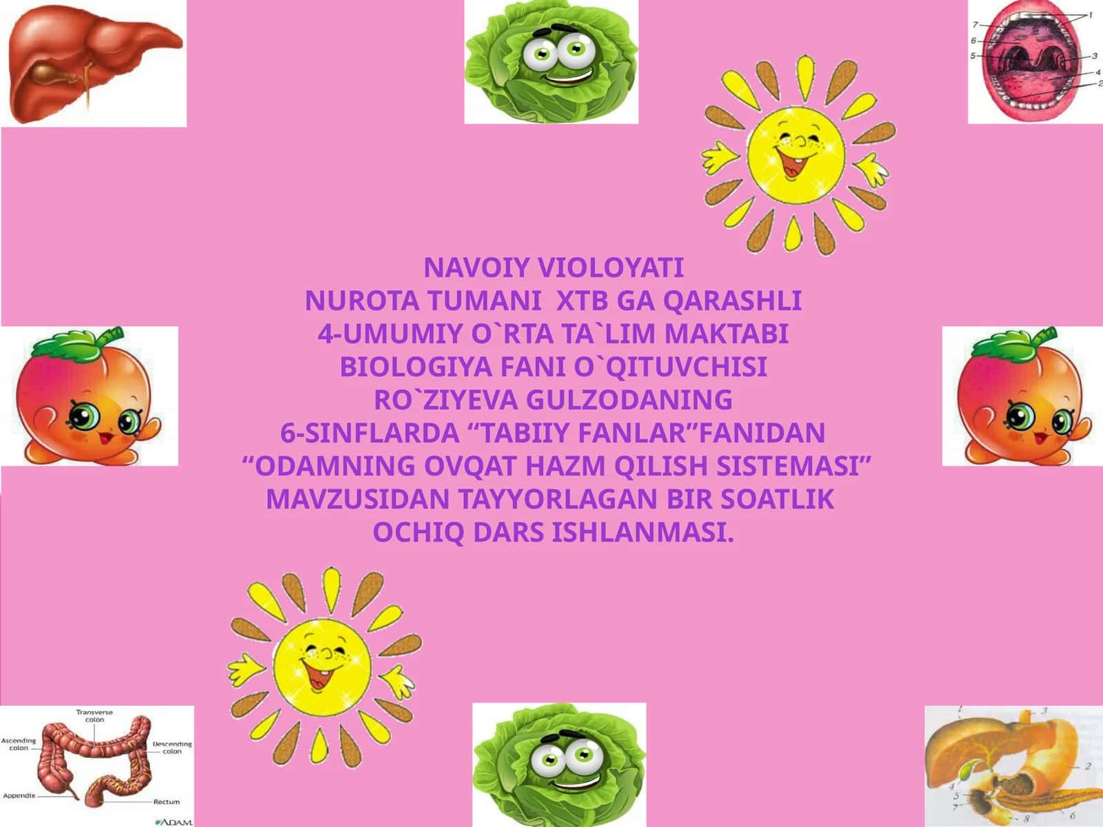 6-sinf Tabiiy fan Odamning ovqat hazm qilish sistemasi mavzuda ochiq dars ishlanma 1