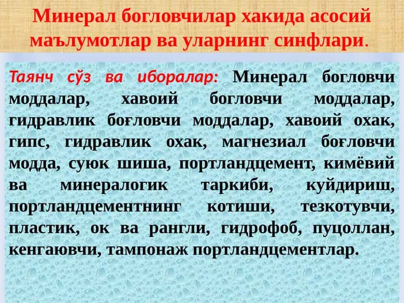 Минералбошловчилар ҳақида асосий маълумотлар ва уларнинг синфлари 1