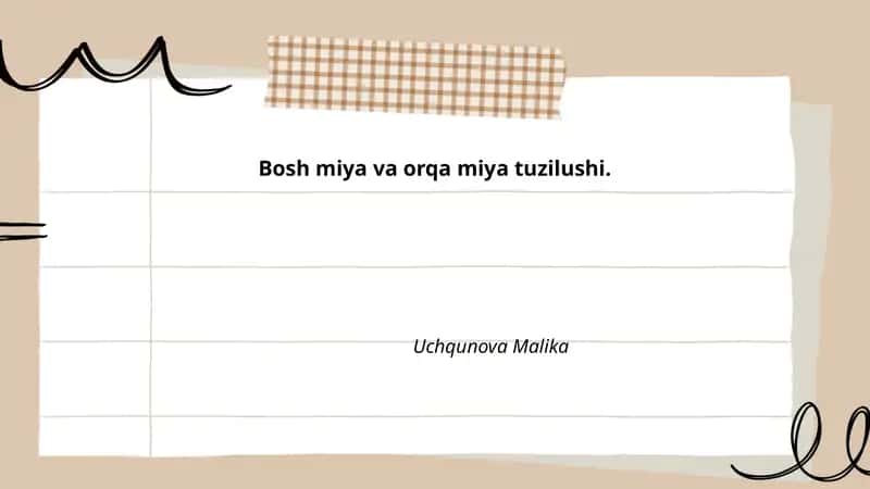 Bosh miya va orqa miya tuzilushi. 1