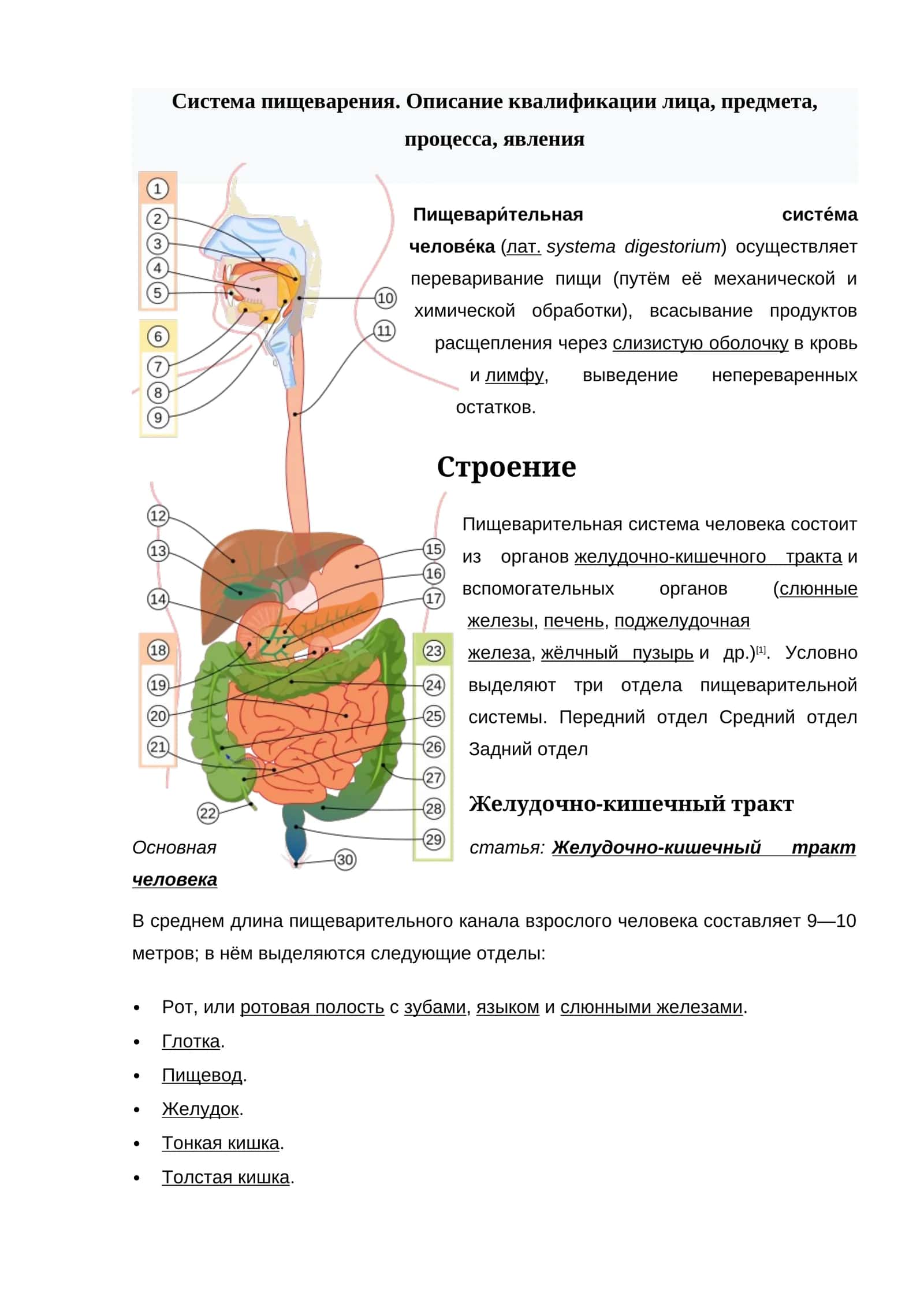 Пищевари́тельная систе́ма 1