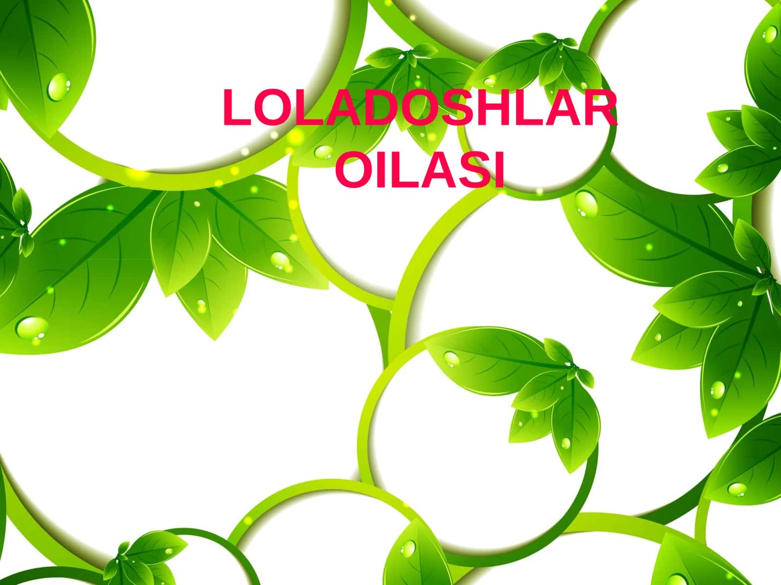 LOLADOSHLAR OILASI 1