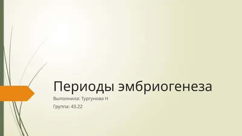 Периоды эмбриогенеза 1